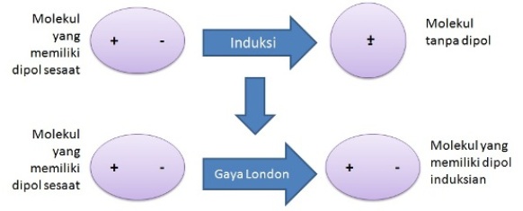 Molekul-molekul nonpolar mengalami gaya dipol