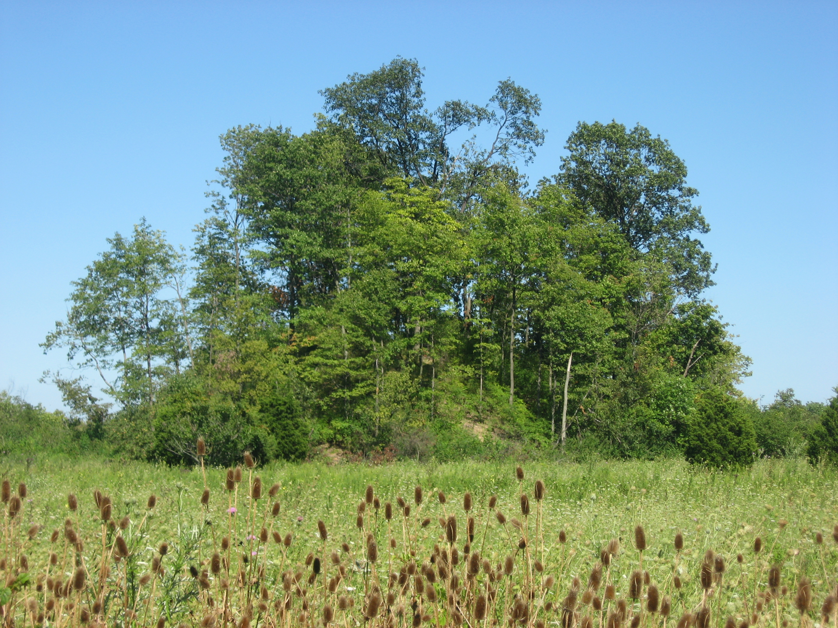 Photo of Great Mound