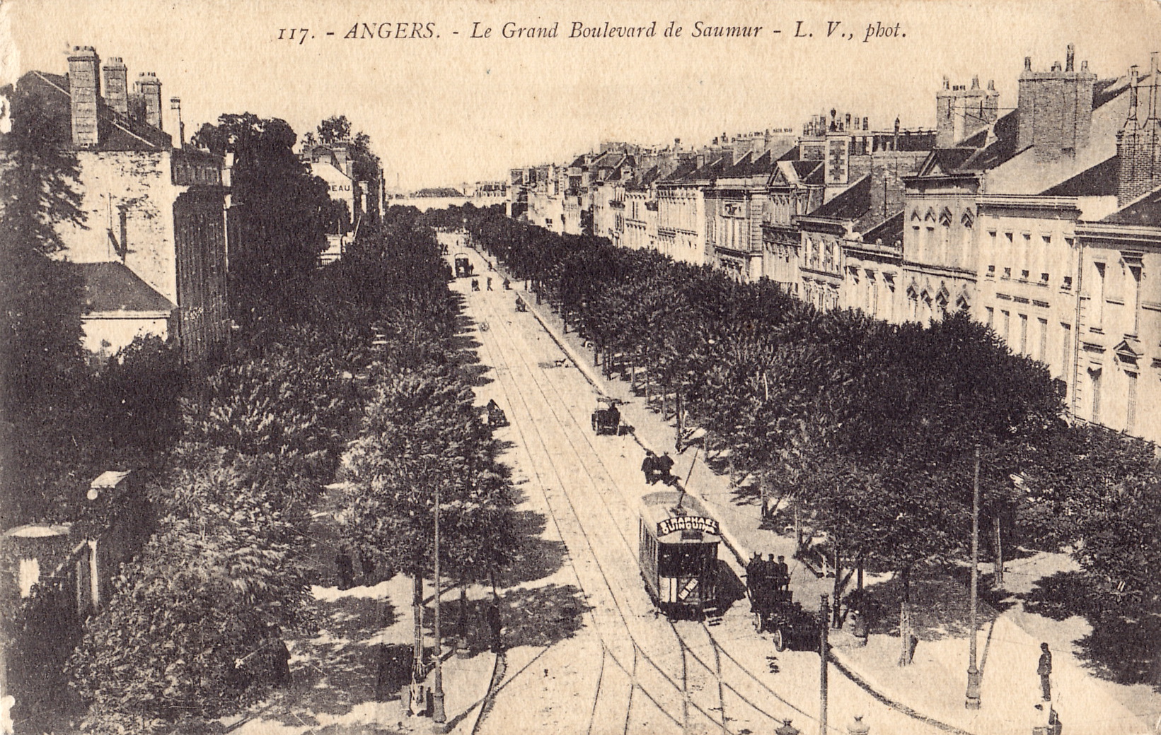 File:LV 117 - ANGERS - Le Grand Boulevard de Saumur.jpg