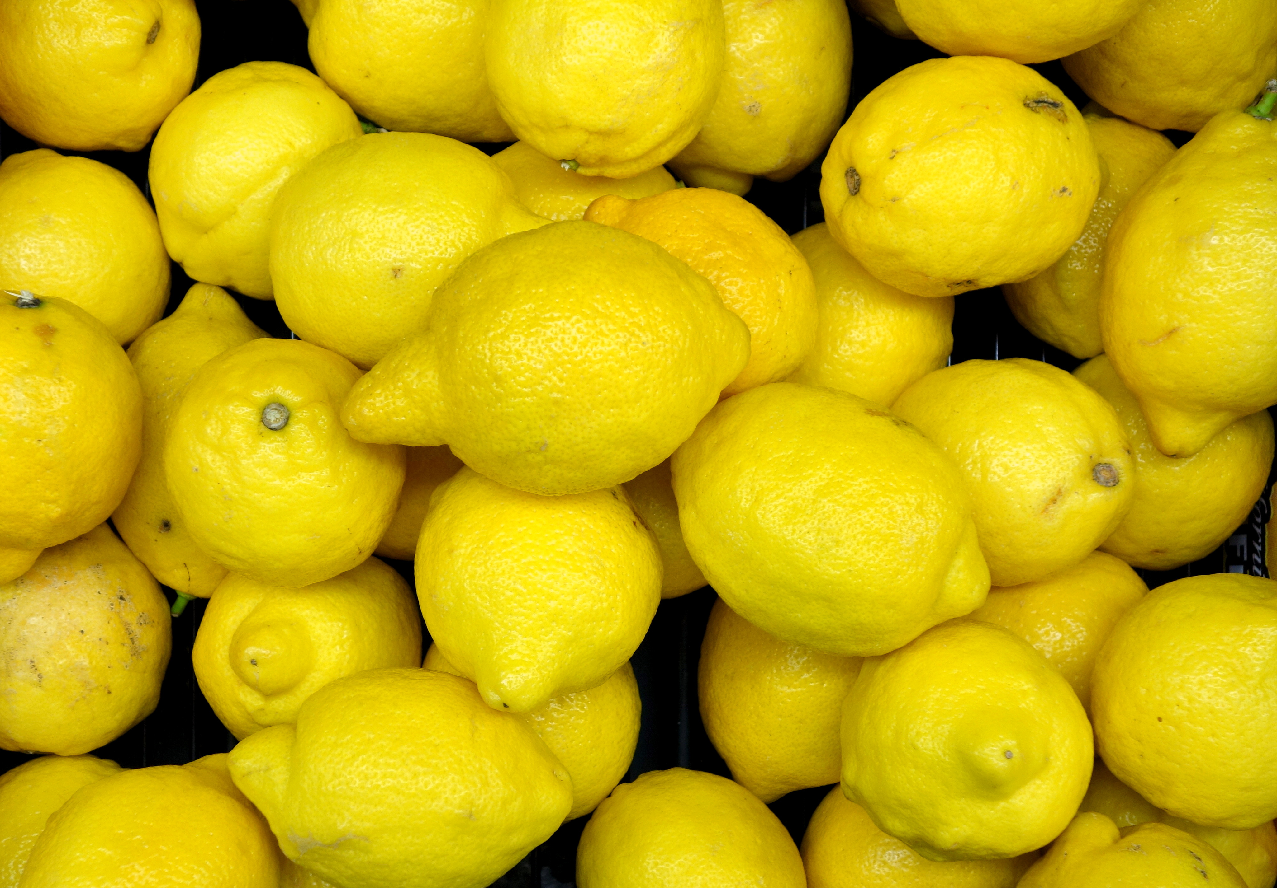 Почему лимон желтый. Желтый лимон. Маленькие желтые лимоны. Текстура лимона. Желтизна лимон.