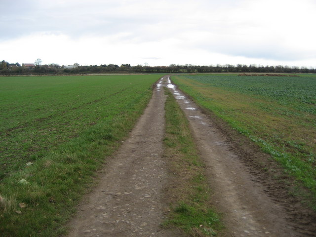 File:Low Coniscliffe 008.jpg