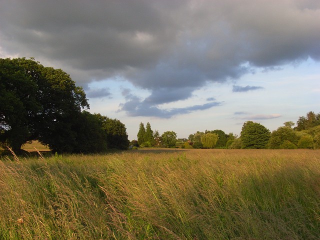 Meadow, Compton - geograph.org.uk - 858311