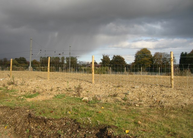 File:New fence by the railway - geograph.org.uk - 1054334.jpg