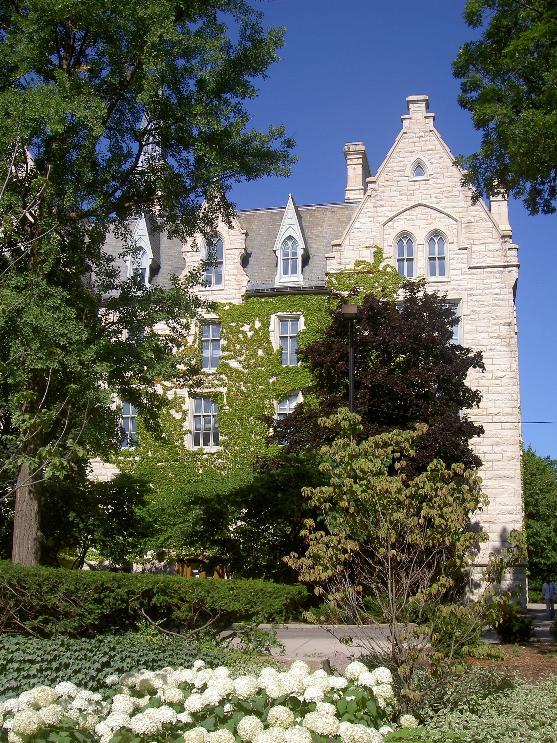 File:Northwestern University, ivy.JPG - Wikimedia Commons