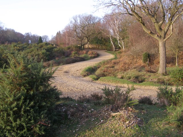 Off-road cycle path, near Cater's Cottage, New Forest - geograph.org.uk - 305653