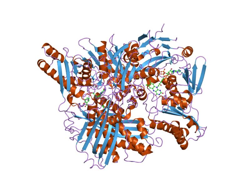 File:PDB 1fiq EBI.jpg