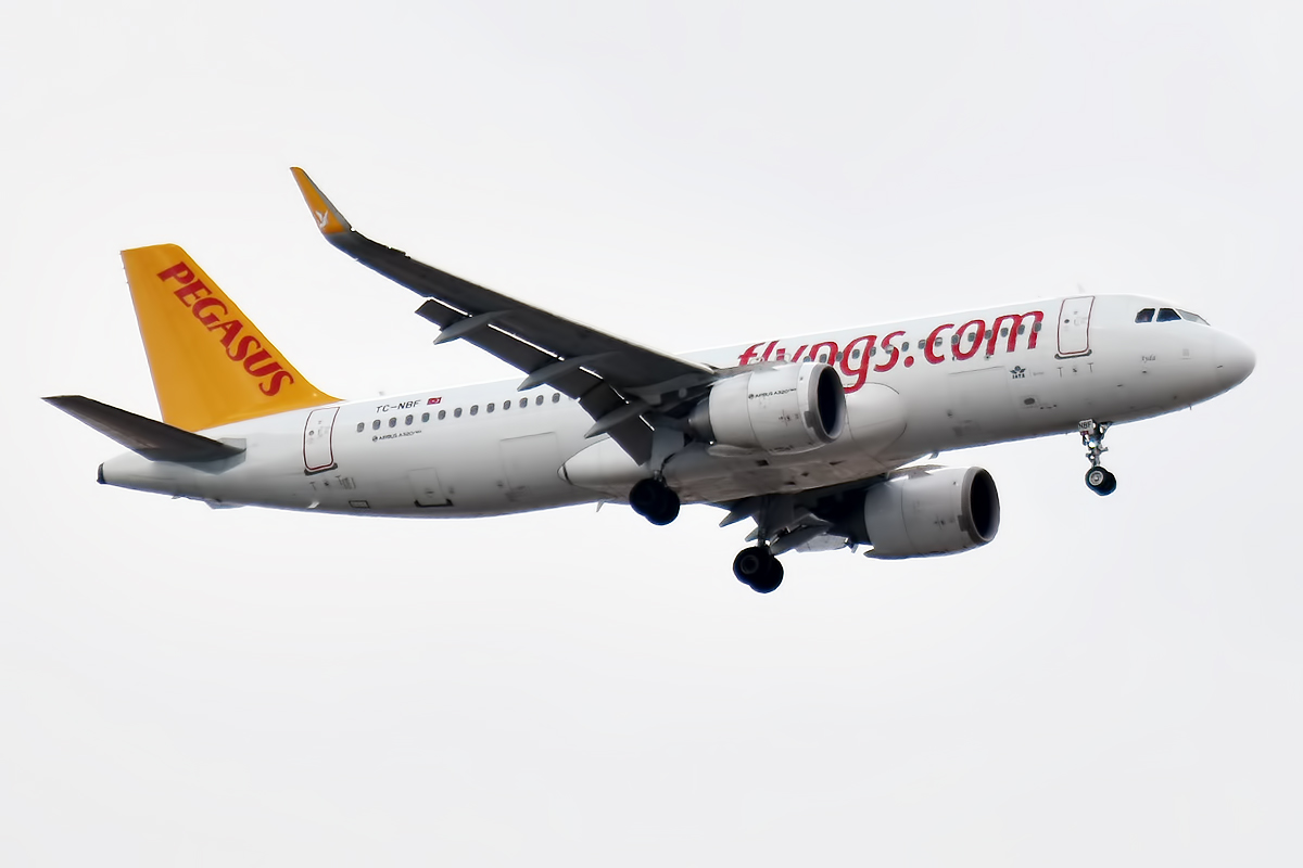 Схема салона airbus a320 pegasus airlines