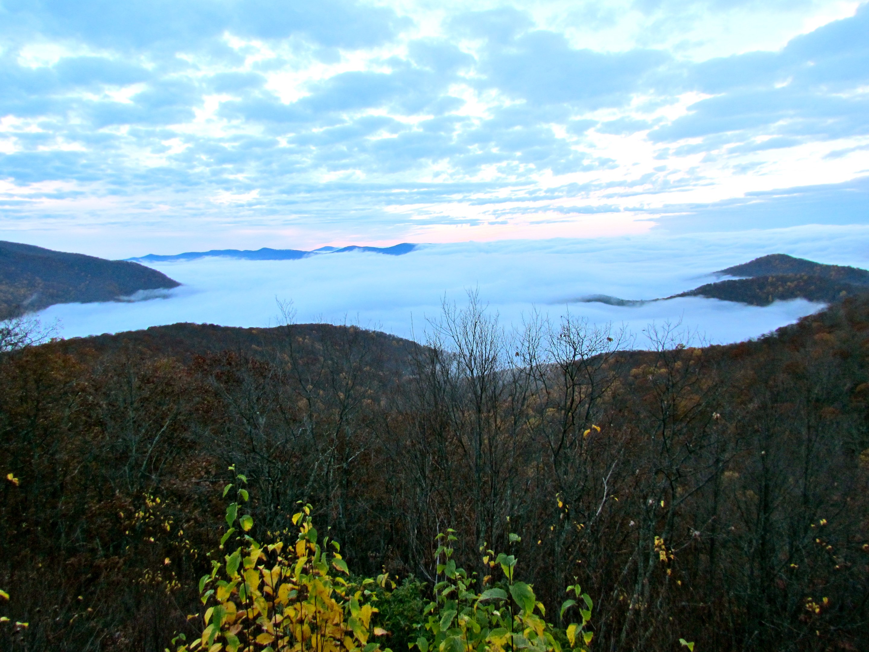 Pisgah National Forest