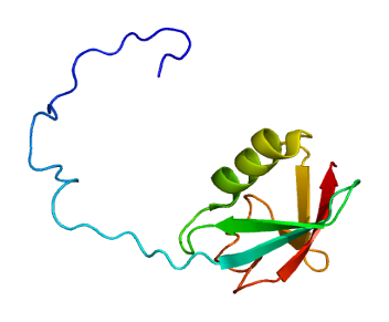 Protein UBQLN2 PDB 1j8c
