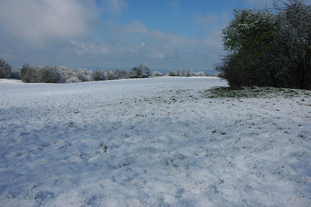 File:Snow on Bredon Hill - geograph.org.uk - 759051.jpg