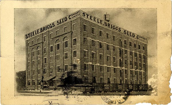 File:Steele-Briggs-Seed-postcard-dec-24-1921.jpg