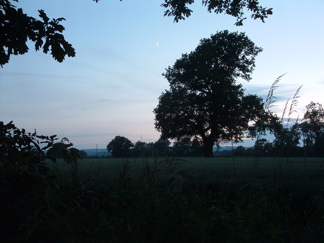 File:Summer Nights - geograph.org.uk - 194102.jpg