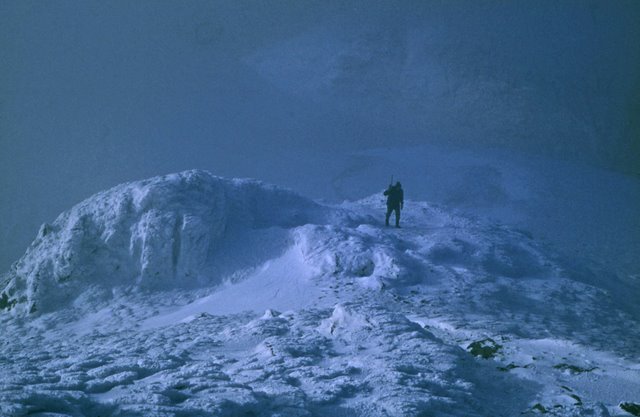 File:The final few feet to the summit - geograph.org.uk - 1639326.jpg