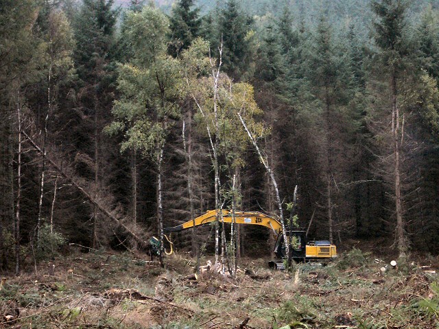 File:Timber^ - geograph.org.uk - 72293.jpg