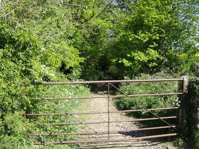 File:Track north of Hookshouse - geograph.org.uk - 488427.jpg