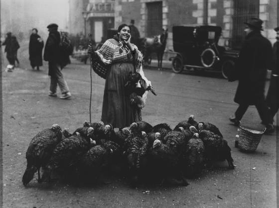 File:Venta de pavos para nochebuena en Madrid 1925.jpg