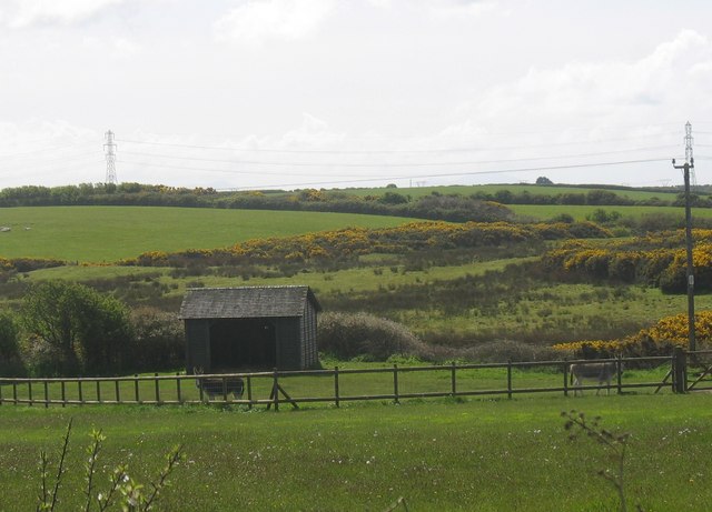 File:A donkey sanctuary - geograph.org.uk - 1294041.jpg