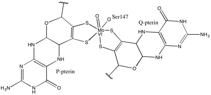 Active site of the enzyme DMSO reductase features two pyranopterindithiolene ligands. Activesite.jpg