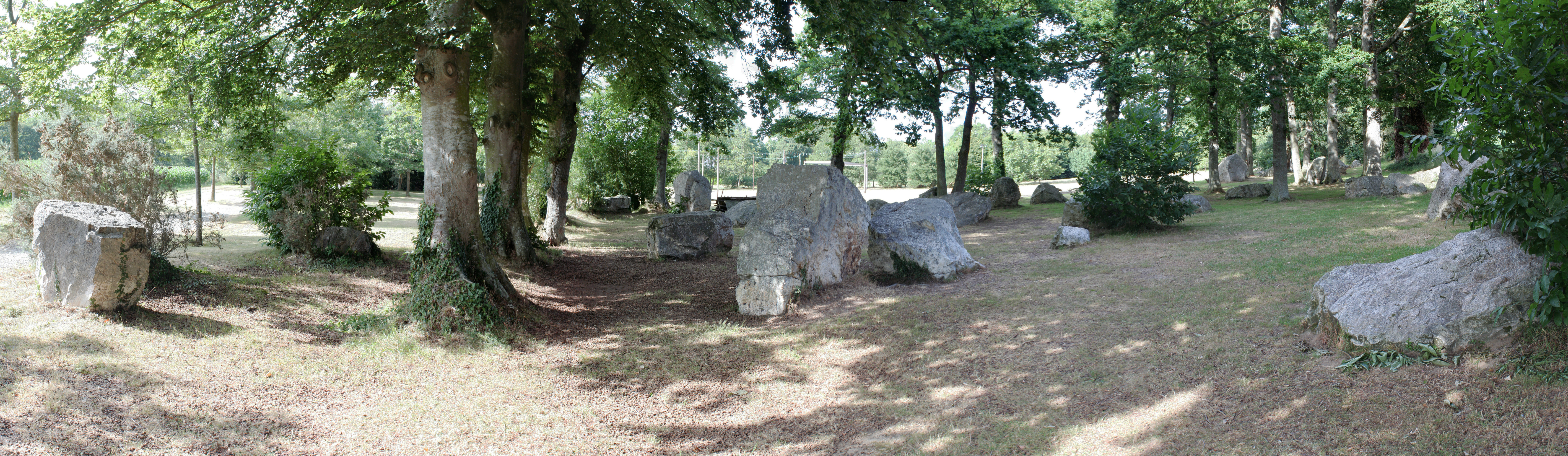 Alignement mégalithique du Champ des Roches  France Bretagne Côtes-d'Armor Pleslin-Trigavou 22490