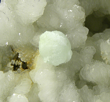 File:Apophyllite-(KF)-Prehnite-247631.jpg