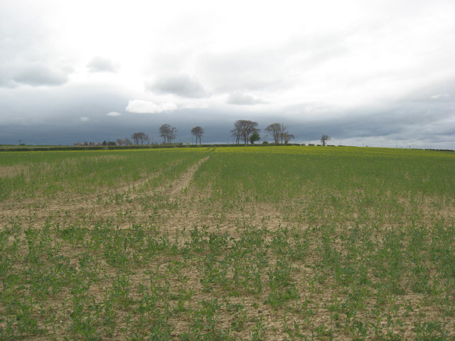 File:Arable land - geograph.org.uk - 1274548.jpg