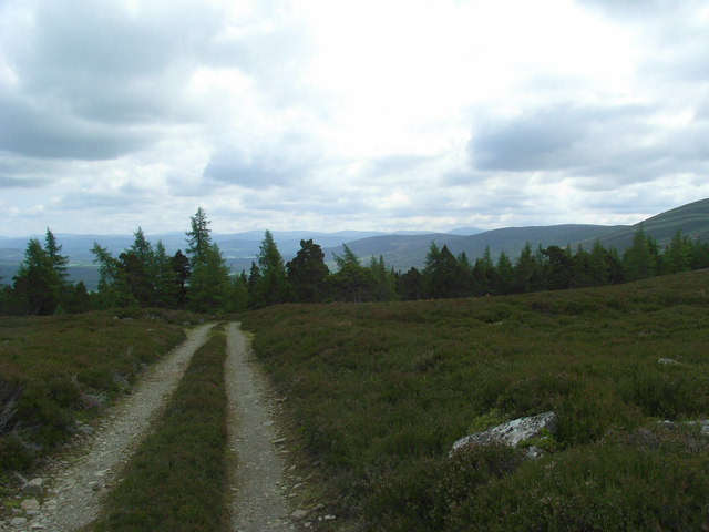 File:Balronald Wood - geograph.org.uk - 1378309.jpg