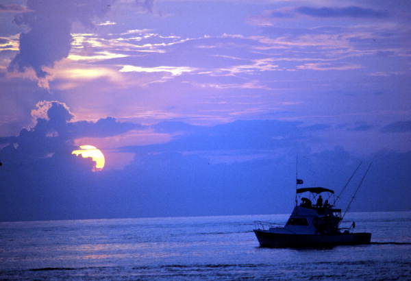File:Charter boat Wild Bill tarpon fishing in Key West harbor  (8547598575).jpg - Wikimedia Commons