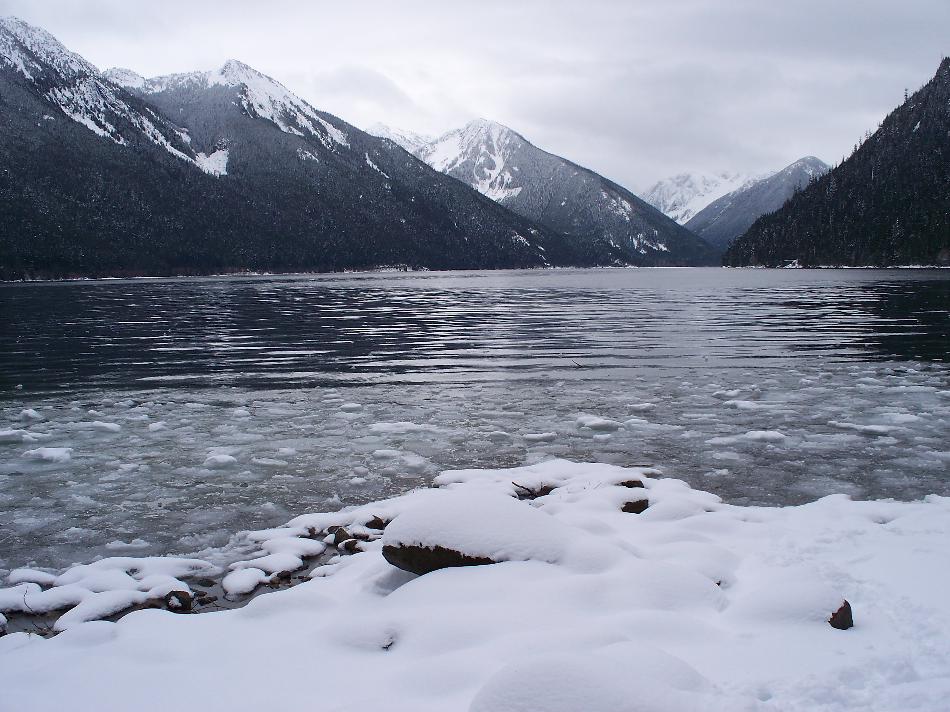 are dogs allowed at chilliwack lake