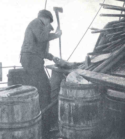 File:FMIB 35553 Chopping up of seal-carcasses, for packing in barrels, transforms the forecastle head into a butcher's shop.jpeg