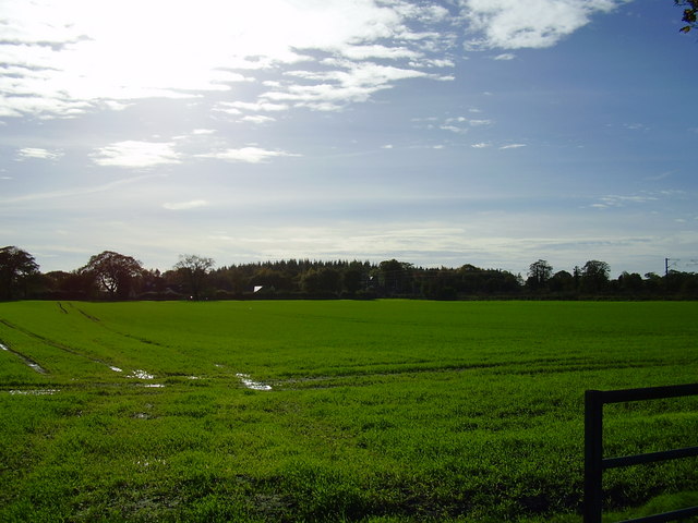 File:Field alongside East coast main line - geograph.org.uk - 268978.jpg