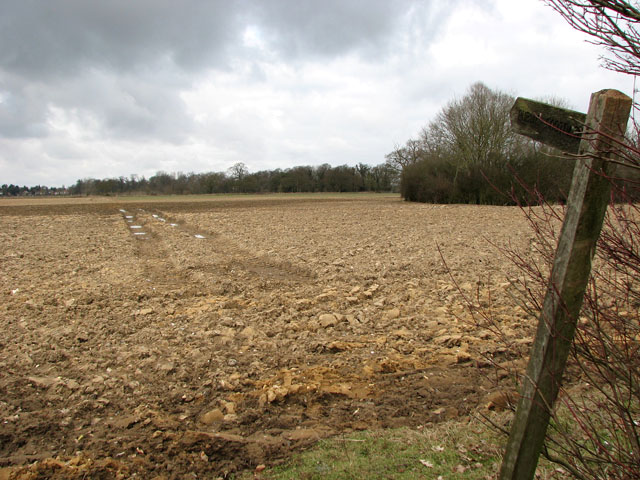 File:Footpath across a field to Hethersett - geograph.org.uk - 1744466.jpg