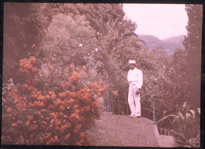File:Garden in Madeira, with Native Porter, by Sarah Angelina Acland, c.1910.jpg