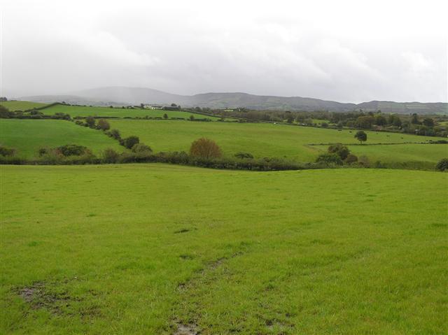 File:Glashygolgan Townland - geograph.org.uk - 1501587.jpg