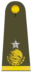 Gral brigadier.png