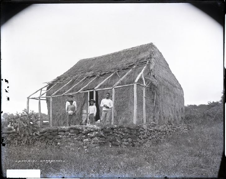 File:Hawaiian Grass Hut, photograph by Brother Bertram.jpg