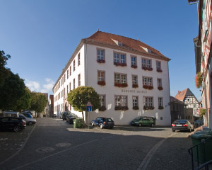 Heppenheimer Stadtschloss: Schloss in Deutschland