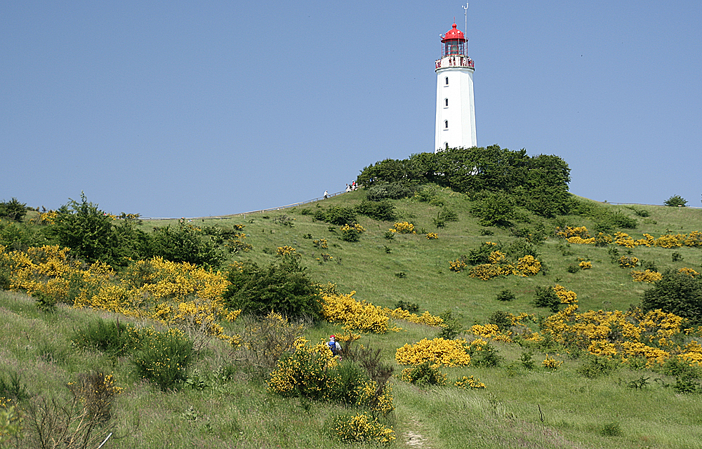 Der Leuchtturm Dornbusch im Bundesland Mecklenburg-Vorpommern in der Region Ostsee/Ostsee in der Übersicht aller Leuchttürme in Deutschland bei Natura Event.