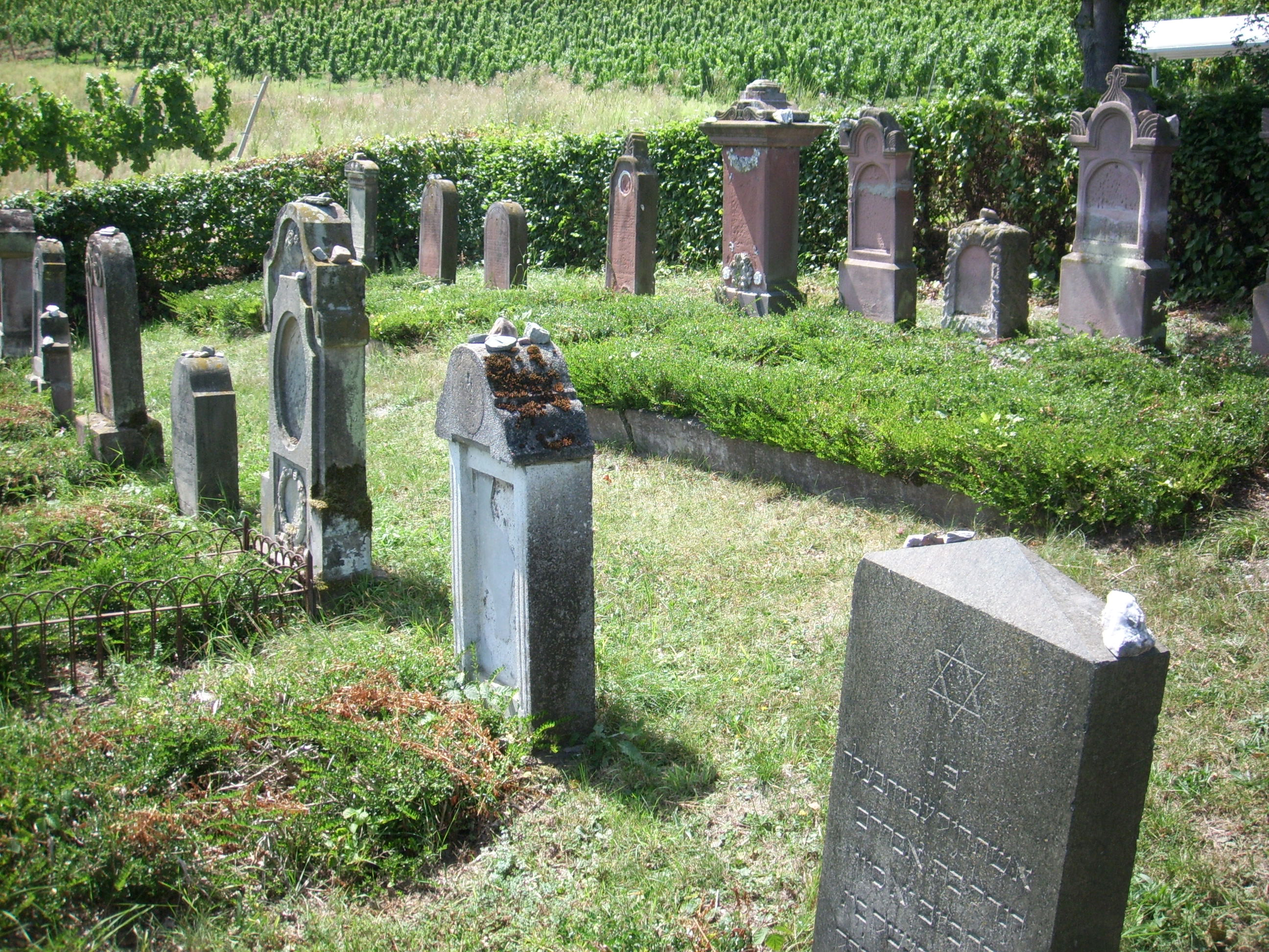 Jewish cemetry in Trittenheim (Photo Ruben A. Koman, 2011).