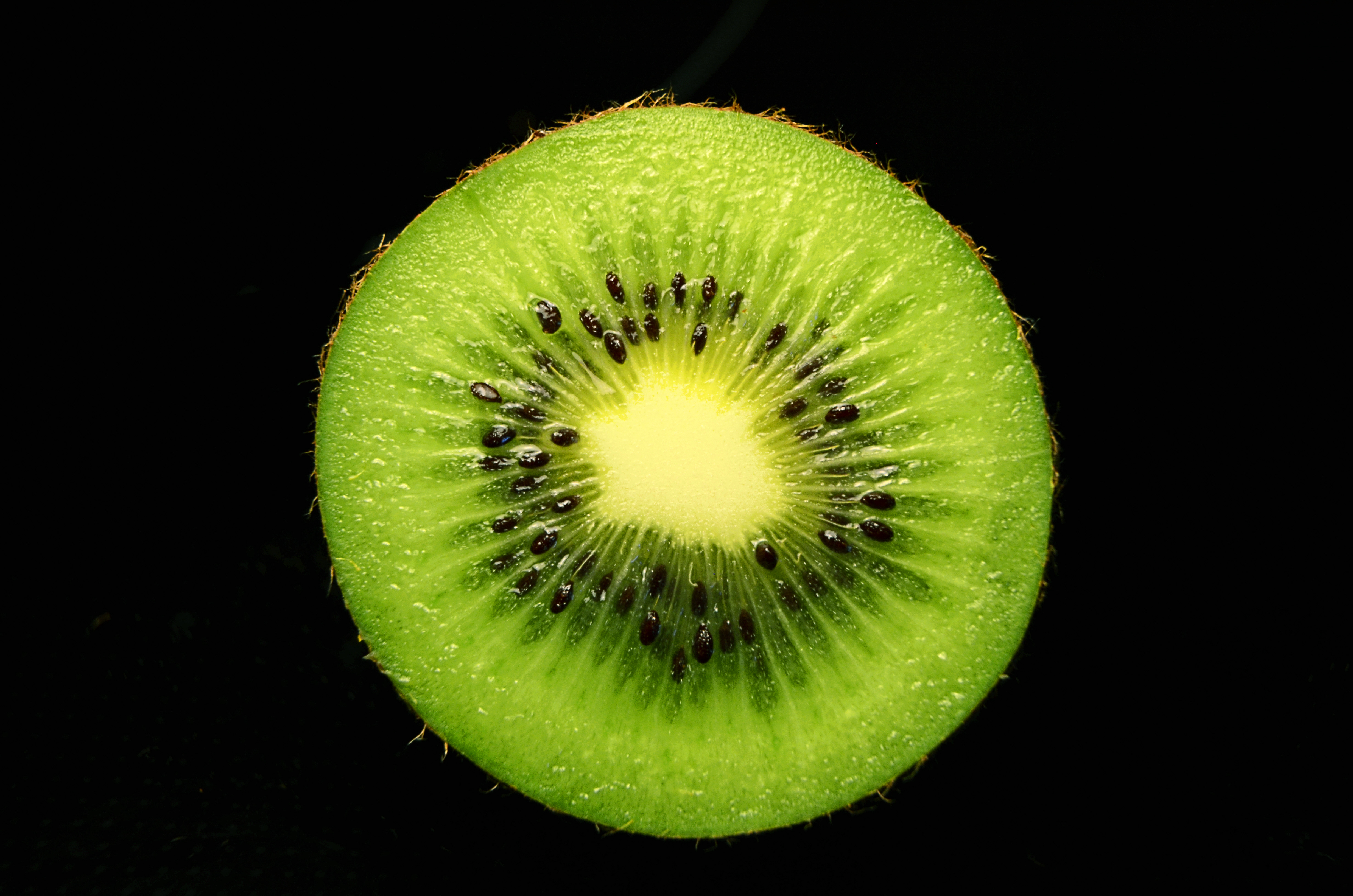 Kiwi mona