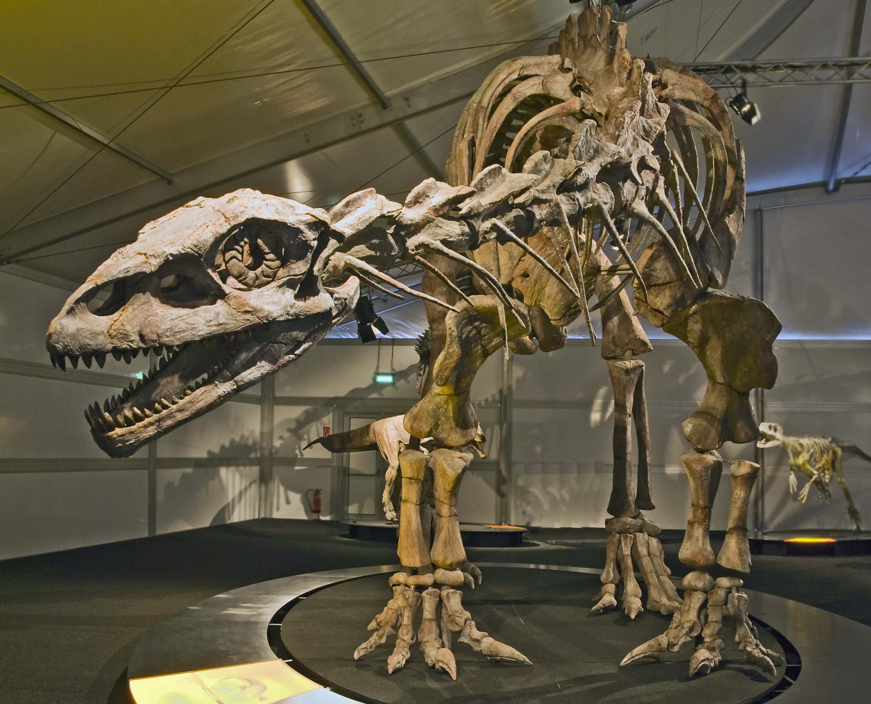 Lessemsaurus - Wikipedia