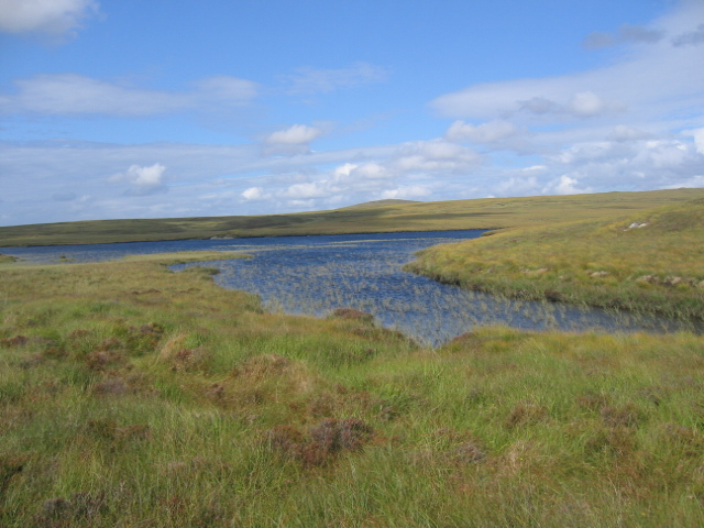 File:Loch na Moine - geograph.org.uk - 1430861.jpg