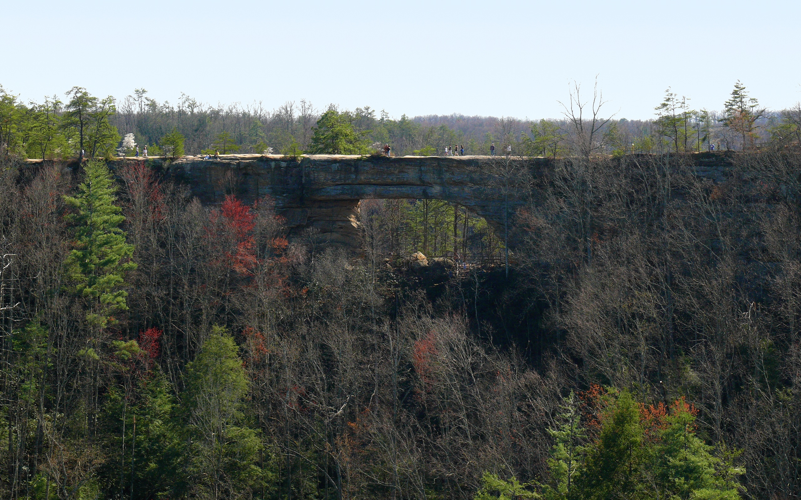 Natural Bridge State Resort Park Wikipedia