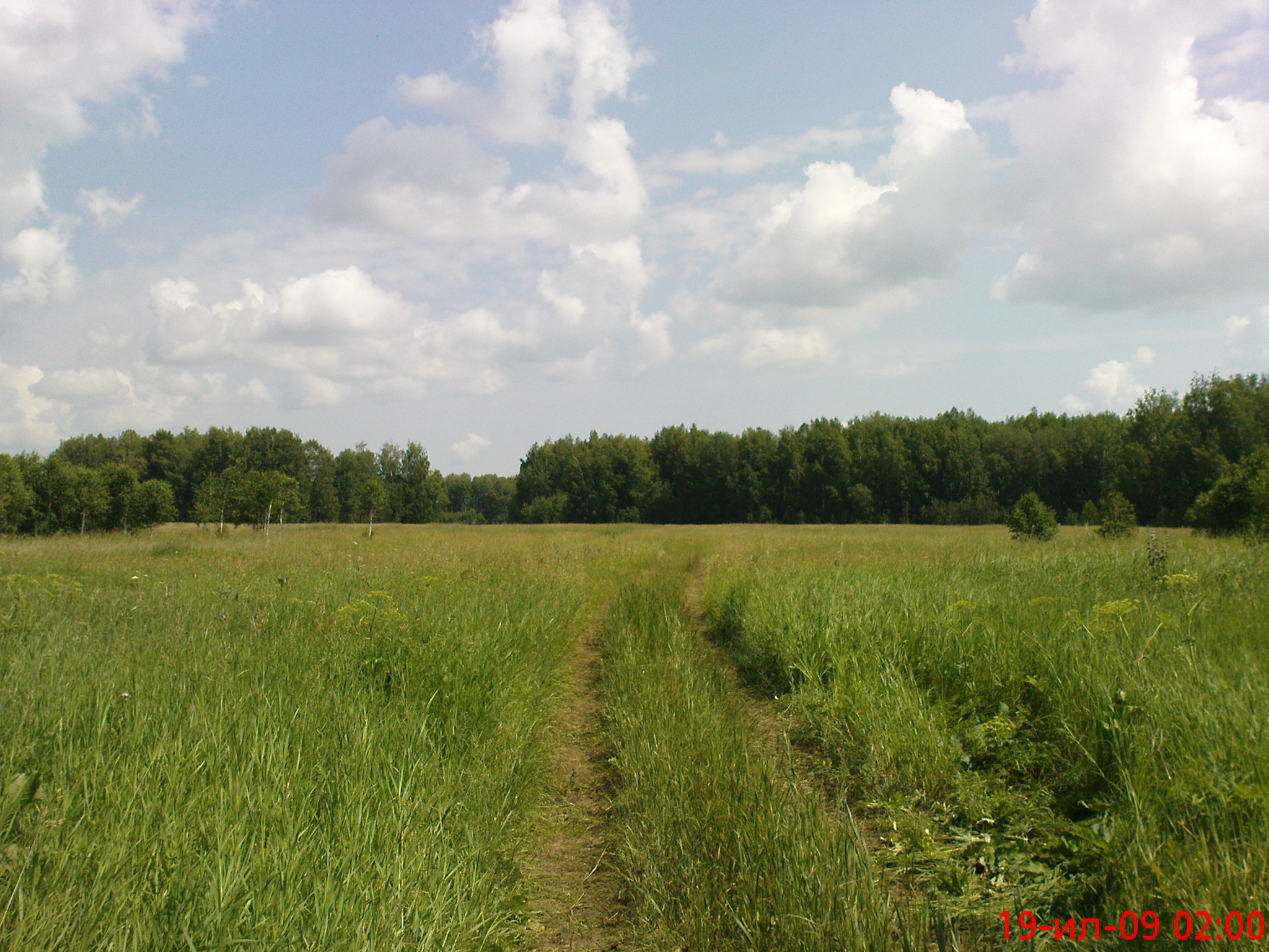 Село пушкино омск. Зеленое поле Омская область. Село Ульяновка Омская область. Мирная Долина Омская область. Омский район село Ульяновка.