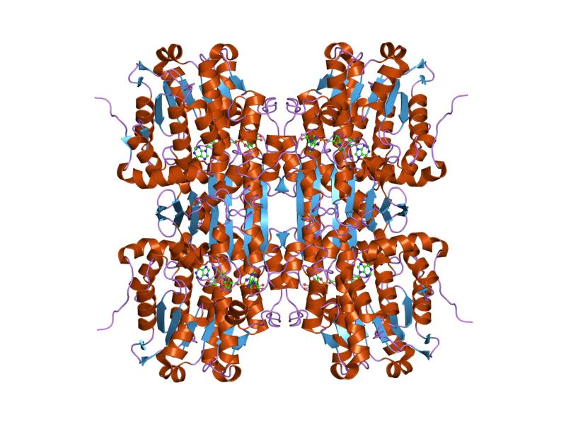 File:PDB 1ky5 EBI.jpg