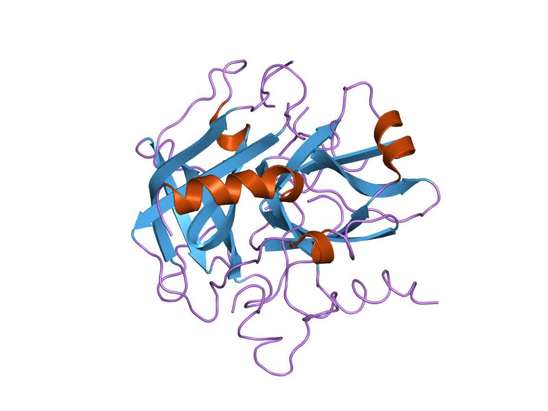 File:PDB 1nro EBI.jpg