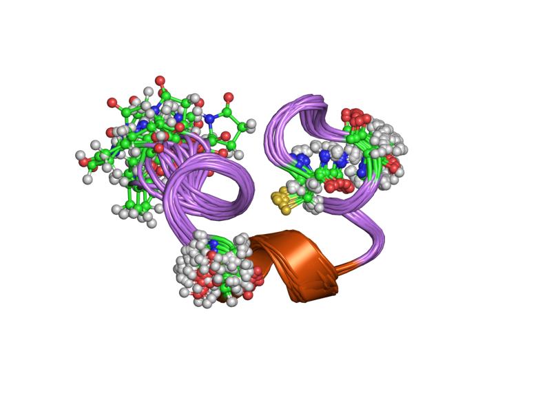 File:PDB 1r9i EBI.jpg