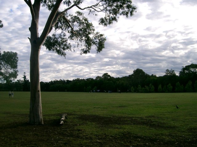 File:Parramatta Park (494267752).jpg