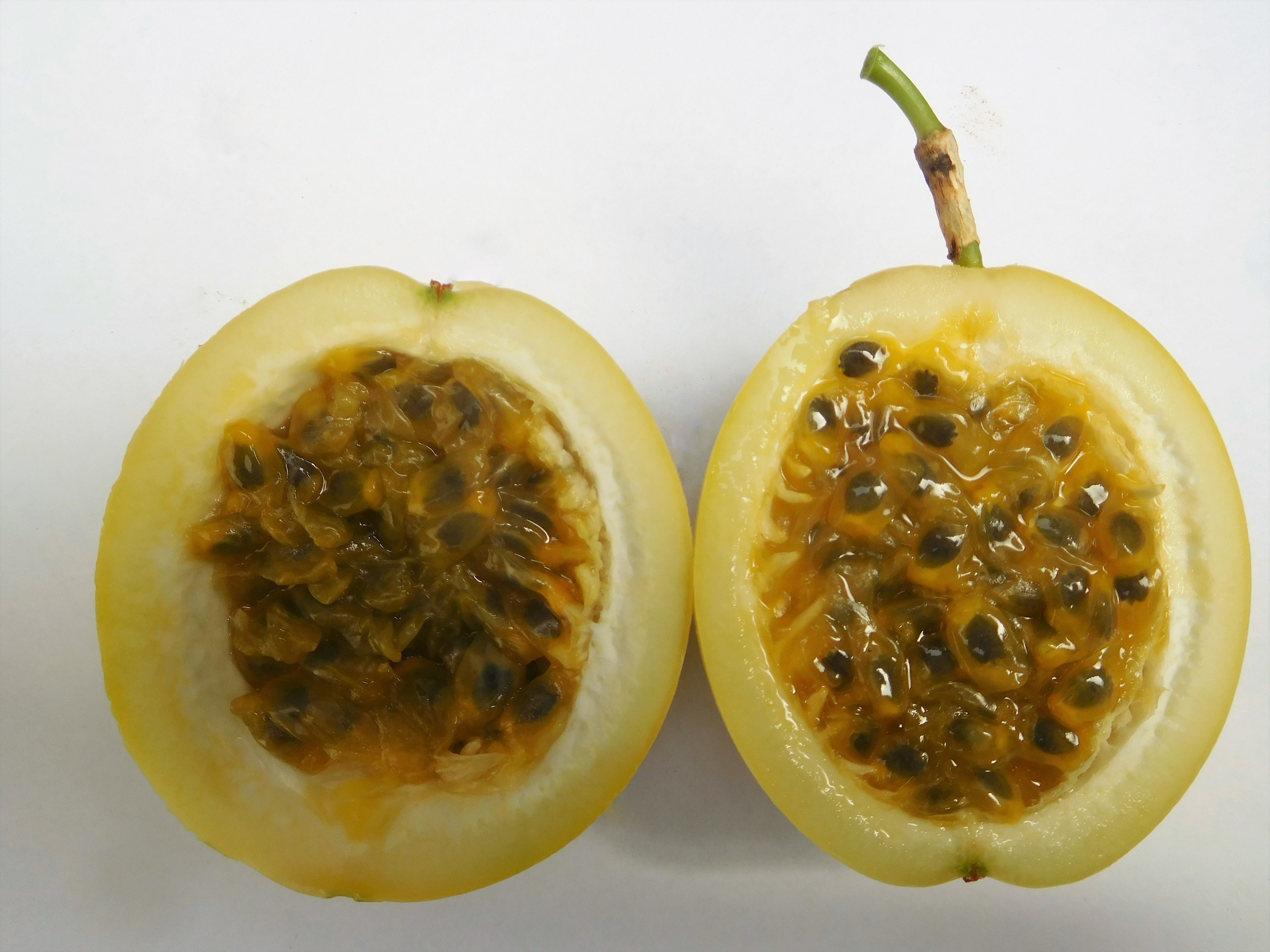 Fruit de la passion — Wikipédia