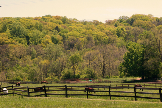 pepper pike ohio