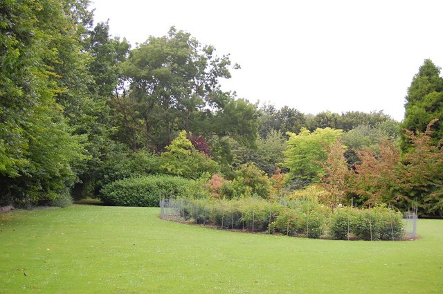 Pilgrims' Lawn, Anglesey Abbey - geograph.org.uk - 920507